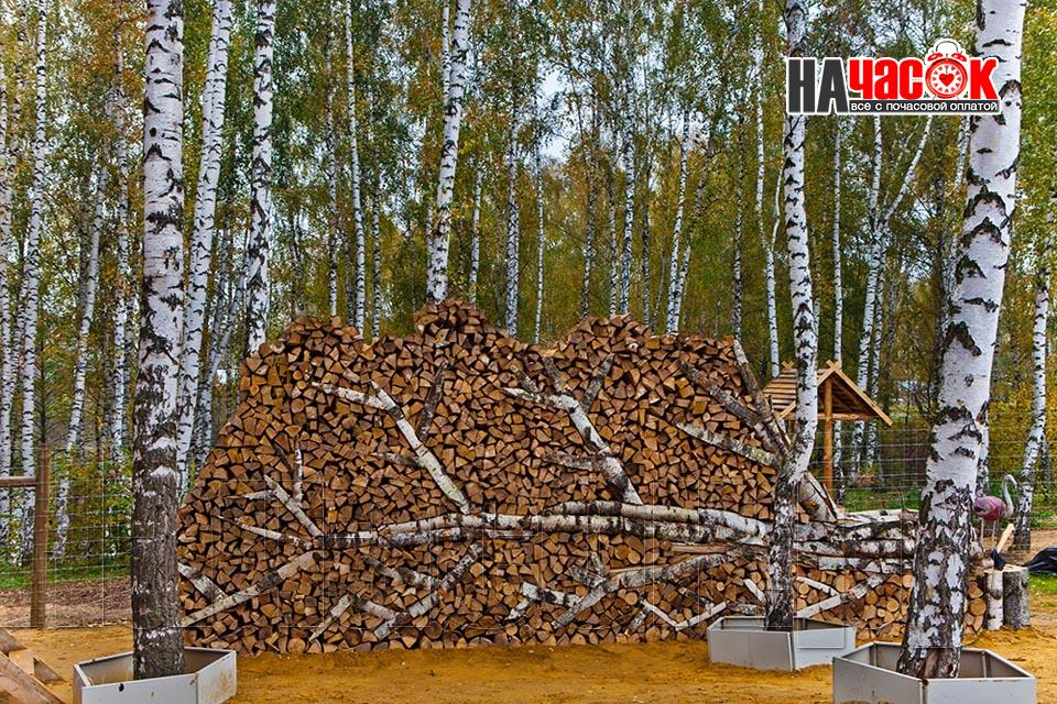 Баня