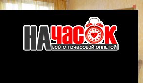 1-комнатная квартира у метро Парнас