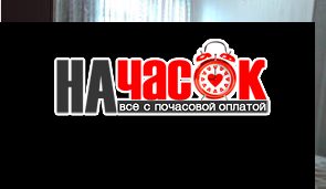 1-комнатная квартира у метро Звездная