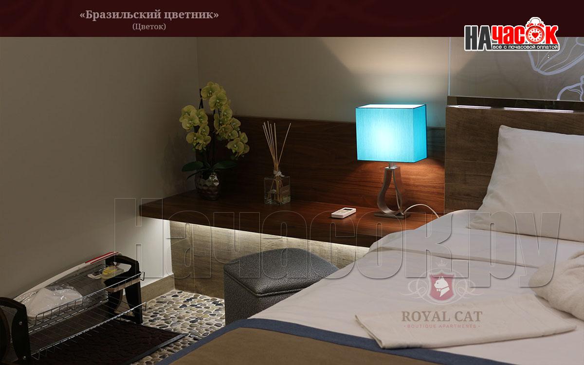 Бразильский цветник