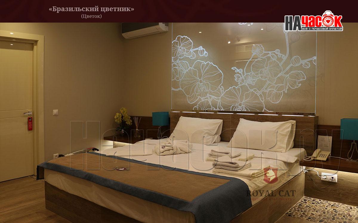 Бразильский цветник