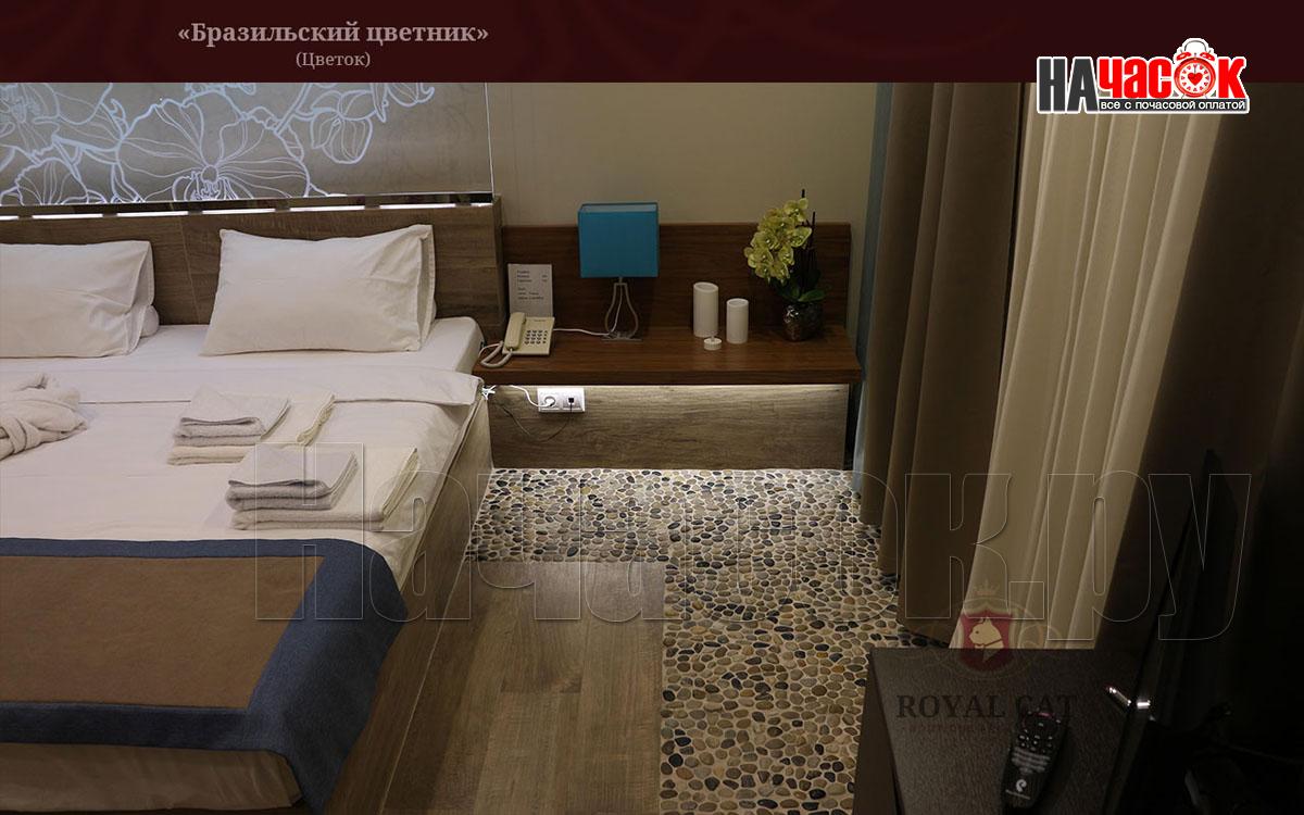 Бразильский цветник