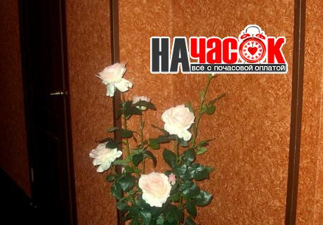 № 5 Комфорт