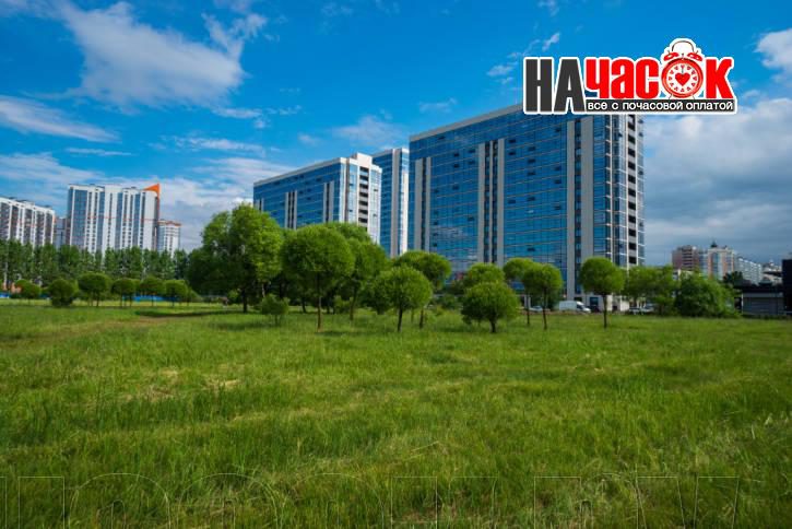 Уютная Студия у парка